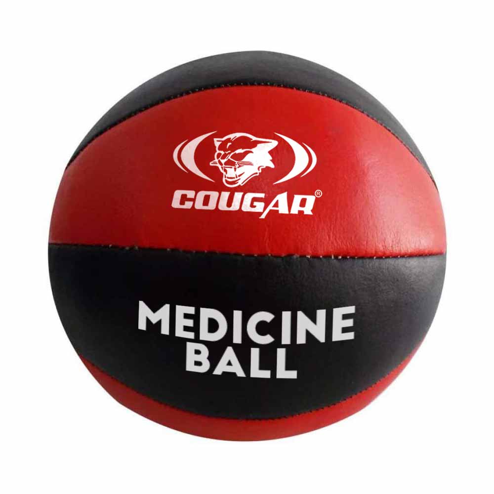 Leather Medicine Ball'