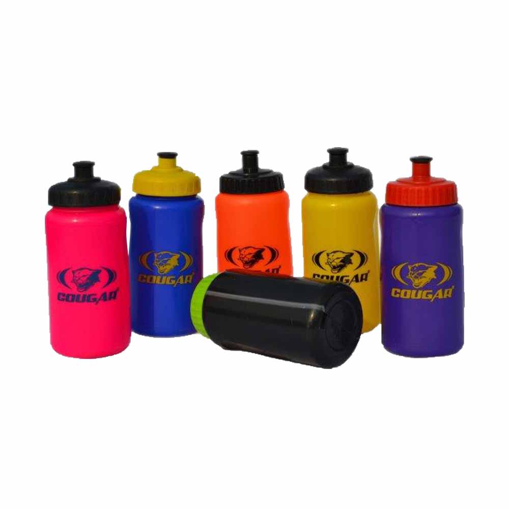 Water Bottle 500ML