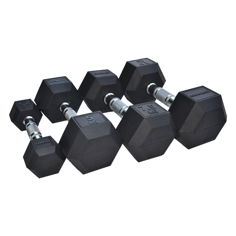 Thor Dumbbells (Hexa)'