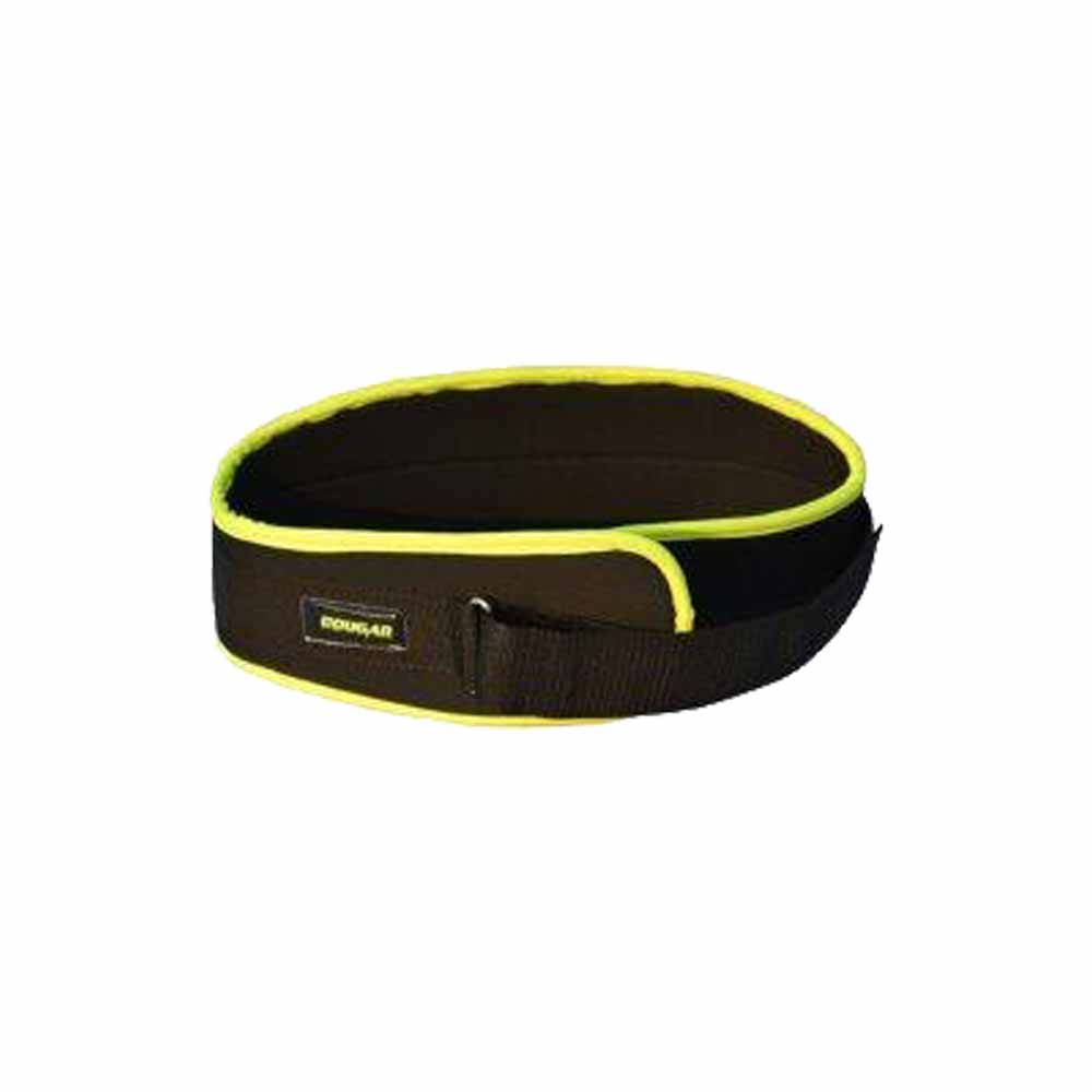 Rafter Weight Lifting Belt'